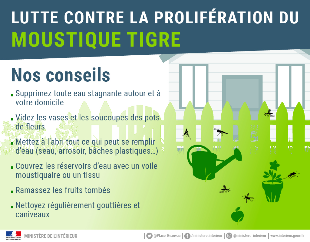 Le moustique-tigre - Campagnes de prévention - Sécurité et Protection de la  Population - Actions de l'État - Les services de l'État dans le Gers
