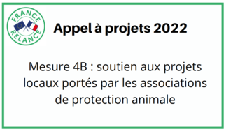 Appel à projet : soutien aux projets locaux portés par les associations de protection animale