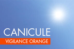 Vigilance orange canicule