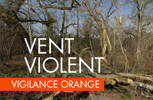 Vigilance orange pour risques de vents violents